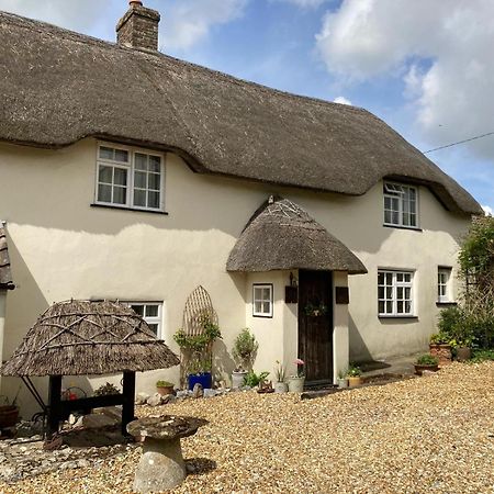 Guest Suite At 31 Little England Milborne Saint Andrew Екстер'єр фото