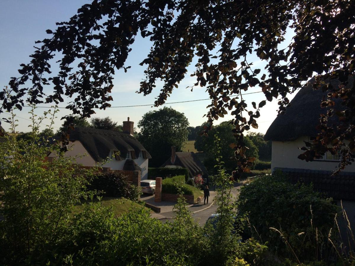 Guest Suite At 31 Little England Milborne Saint Andrew Екстер'єр фото