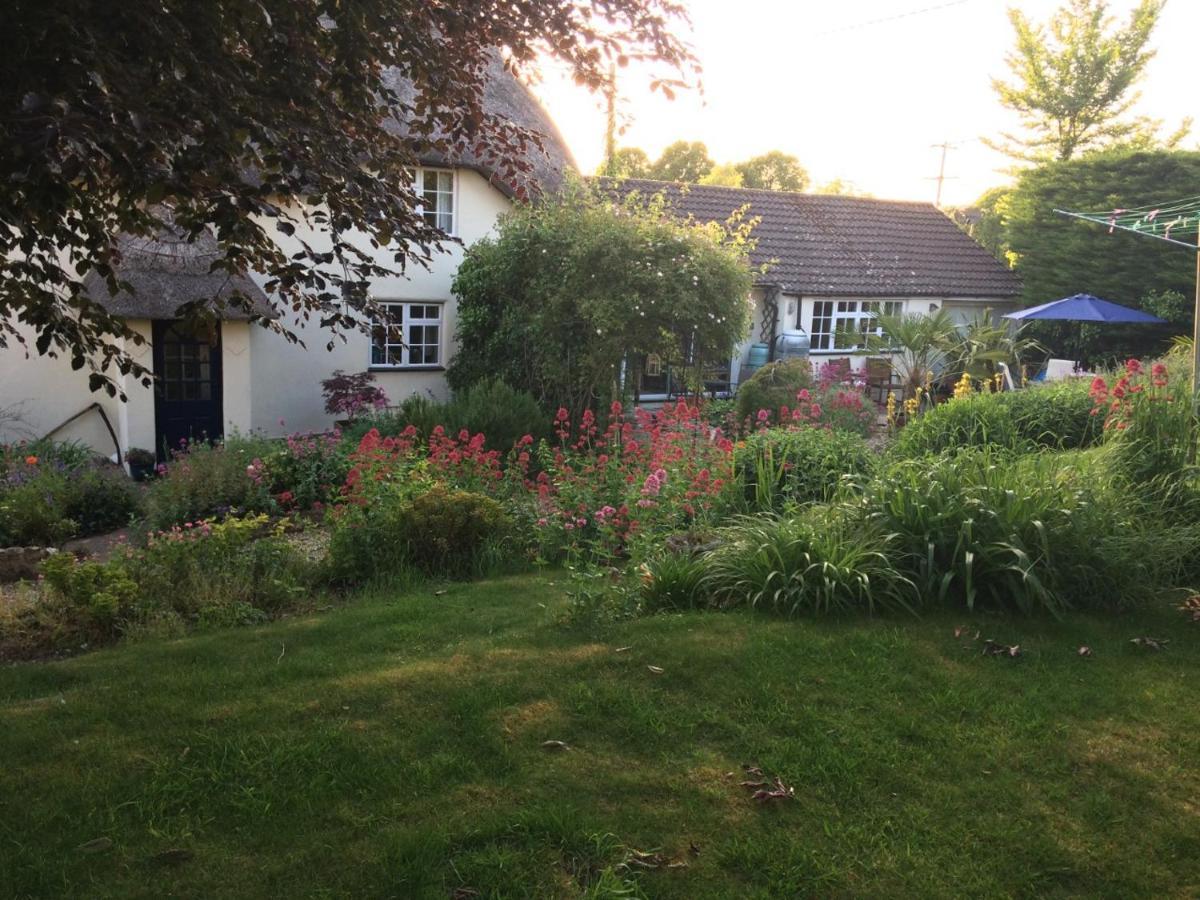 Guest Suite At 31 Little England Milborne Saint Andrew Екстер'єр фото